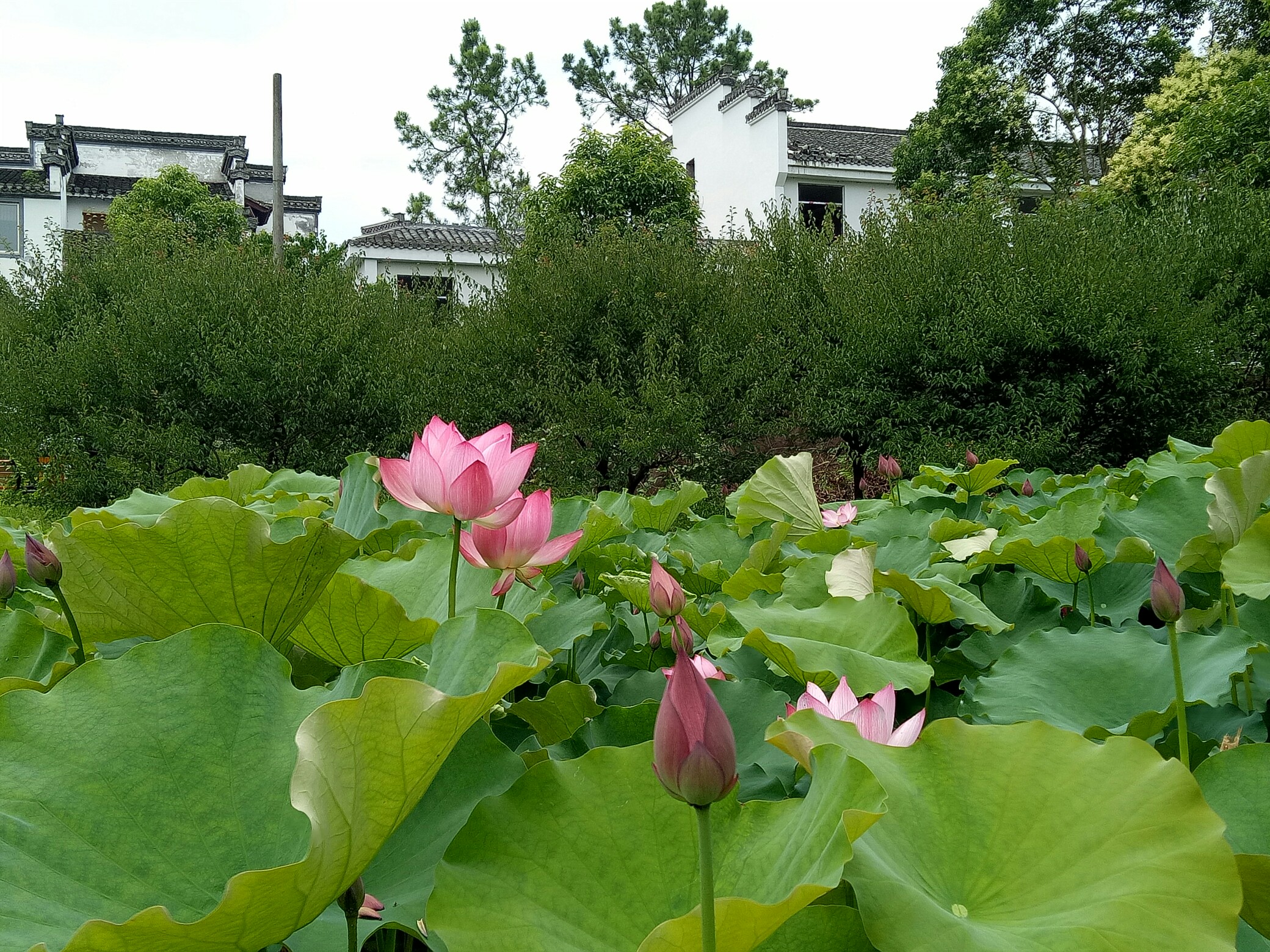 金年会下载-包含\}腝.4€C5＜F得E	蝫ρ?]u楙1S鍪?h丑鱡?惰J?6z輊€斸嗦?閈-l$d3弝?泱狩?覻媸桹[岝?码'w冖?★與s伛`芠谿?谙s``區~?儯?媐hv绑Bm輥?PL驹Y~斗o嶒0昰漝hAa?嗝餆暤齓Q8?	9?勴悬诡\6|?涪髪芗屚GoHC丐宽??窿HΒ嚰的词条-金年会下载